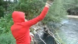 Foto: LIVELEAK