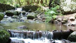 Foto: CEDIDA POR CABILDO DE LA GOMERA