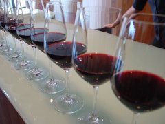 Foto: Elementos del vino tinto benefician la aterosclerosis en estadios tempranos (LOURDES CARDENAL / WIKIMEDIA COMMONS)