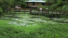 Taiwan, belleza natural en el Pacífico Occidental