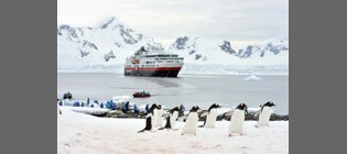 Subastas benéficas en los cruceros de exploración