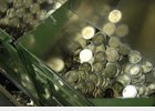 Foto: El consumo estancado y la menor inversión arrastran a la economía española