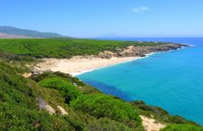 Mayo: el mes del atún rojo en la costa de Cádiz