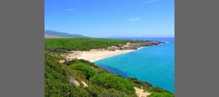 Mayo: el mes del atún rojo en la costa de Cádiz
