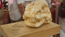 Istria, con sabor a trufa