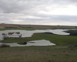 Foto: Se aprueban los planes de cuenca del Guadiana y del Guadalquivir (EUROPA PRESS/AYUNTAMIENTO DAIMIEL)