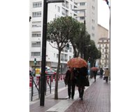 fotonoticia
