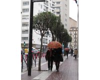 fotonoticia