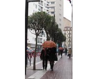 fotonoticia
