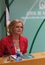 
                              Foto: Junta lamenta que el PP-A intente "tapar las vergüenzas" de Wert "ridiculizando" el 'Pacto por la Cultura'