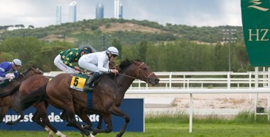Foto: Brillante remontada de 'Labros' en el Gran Premio Nacional (CARLOS GUTIÉRREZ)