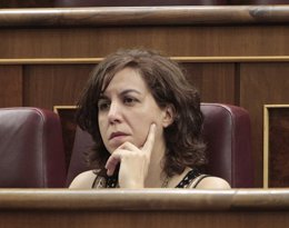 Foto: UPyD pide medidas frente al impacto de aves con los aviones   (EUROPA PRESS)