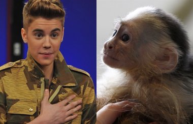 Foto: Alemania se queda con el mono de Justin Bieber (GETTY)