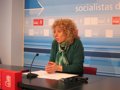 Foto: Díaz Tezanos dice que los dos años de mayoría absoluta del PP "sólo han traído sufrimiento" (EUROPA PRESS)