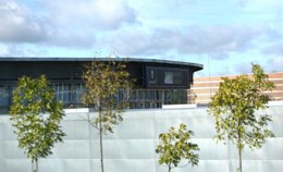 Foto: La Universidad de Murcia realizará un peritaje sobre el aforo de la fiesta del Arena a instancias de las acusaciones (EUROPA PRESS)