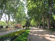 Foto: Una veintena de carteles acerca la flora, fauna e historia del Parque Miguel Servet (EUROPA PRESS)