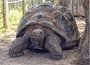 
                              Foto: Más de 180.830 personas visitaron en 2012 las Islas Galápagos, que obliga a turistas a registrarse por Internet
