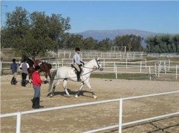 Foto: Alumnos extremeños y portugueses realizarán una exhibición ecuestre en la V Feria del Toro y el Caballo de Badajoz (GOBIERNO DE EXTREMADURA)