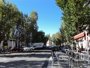 
                              Foto: Andalucistas rechazan la "tala de árboles" prevista en la reurbanización de la calle Almirante Lobo