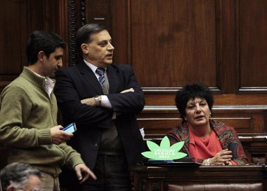 Foto: Uruguay aprueba legalizar el cultivo y la venta de marihuana (REUTERS)