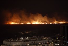 Foto: Un incendio arrasa parte de la Reserva Ecológica de Buenos Aires (REUTERS)