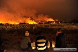 Foto: Encuentran restos humanos en la reserva ecológica incendiada (AGENCIA DE NOTICIAS TÉLAM)