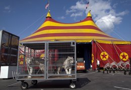 Foto: Prohíben el uso de animales salvajes en los circos de Perú (REUTERS)