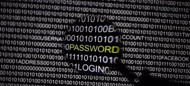 Foto: La NSA y su homólogo británico descifran información confidencial en Internet (Reuters)