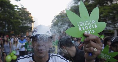 Foto: Uruguay podría exportar marihuana a países extranjeros (REUTERS)