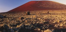 Experiencia volcánica y  natural en Canarias