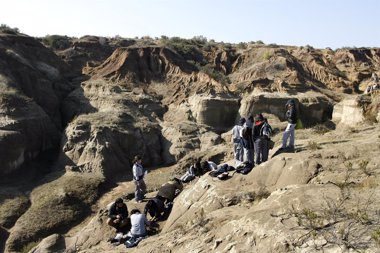 Foto: Descubren el misterio del cementerio de ballenas en el norte de Chile ( REUTERS)