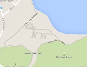 El gato de Google Maps en Auckland