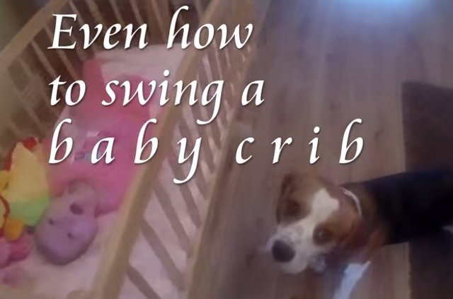 Perros y bebés, los mejores amigos 3 fotonoticia 20150216083348 15021197609 640