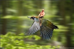 Foto: Rusia declara la guerra a los memes (TWITTER)