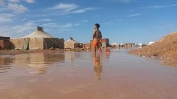 Foto: Las autoridades saharauis declaran zona de catástrofe los campamentos de refugiados (SAHARA PRESS LEAGUE)