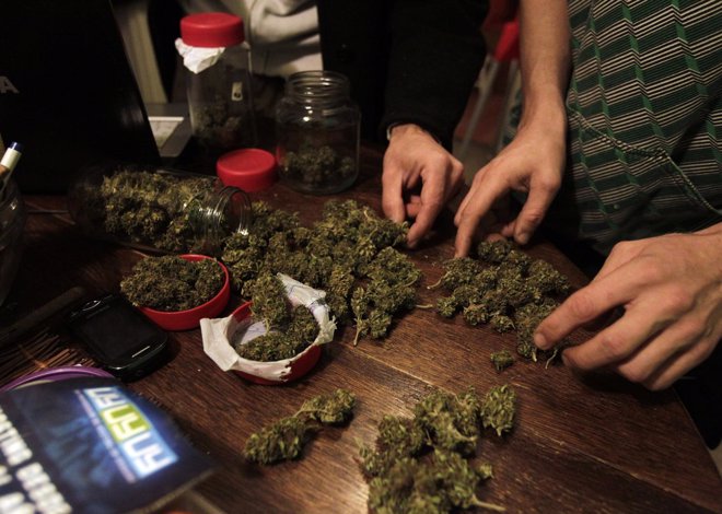 Foto: Uruguay, primer país en legalizar la producción de marihuana (REUTERS)